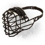 Frost-Resistant Wire Cage Newfoundland Muzzle with One Strap