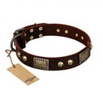"Magic Amulet" Brown Leather Newfoundland Collar with Skulls and Plates