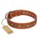 "Natural Beauty" FDT Artisan Tan Leather Newfoundland Collar with Shining Silver-like Studs