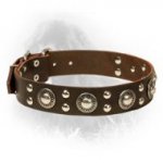 Designer Studded Leather Newfoundland Collar