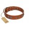 "Splendid Armor" Premium Quality FDT Artisan Tan Designer Newfoundland Collar with Shields and Stars