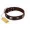 "Nut-Brown Finery" Embellished FDT Artisan Brown Leather Newfoundland Collar with Chrome Plated Crossbones and Plates