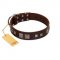 "Object of Virtu" FDT Artisan Brown Leather Newfoundland Collar with Old Silver-like Square Studs and Pyramids