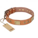 "The Middle Ages" FDT Artisan Handcrafted Tan Leather Newfoundland Collar