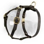 Leather Newfoundland Harness for Working Dogs