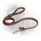 Braided Leather Newfoundland Leash for Everyday Use