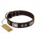 "Satin Beauts" FDT Artisan Brown Leather Newfoundland Collar with Stars and Plates