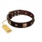 "Choco Dreams" FDT Artisan Brown Leather Newfoundland Collar with Squares and Stars