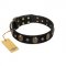Pirate's Spell' FDT Artisan Black Leather Newfoundland Collar with Engraved Studs and Medallions