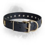 Newfoundland Leather Collar with 33 Brass Plates