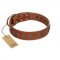 "Silver Century" Fashionable FDT Artisan Tan Leather Newfoundland Collar with Silver-Like Plates