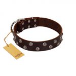 "Blossom Jewel" FDT Artisan Brown Leather Newfoundland Collar with Two Rows of Silver-like Studs with Engraved Flowers