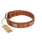 "Pawsy Glossy" FDT Artisan Exclusive Tan Leather Newfoundland Collar 1 1/2 inch (40 mm) wide
