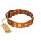 "Egyptian Script" FDT Artisan Tan Leather Newfoundland Collar with Plates and Small Studs