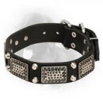 Leather Newfoundland Collar with Vintage Plates and Studs