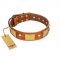 "Mutt The Daredevil" FDT Artisan Tan Leather Newfoundland Collar with Old Bronze-like Skulls and Plates