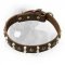 Newfoundland Collar With Studs and Pyramids Decorated Leather