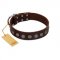 "Starry-Eyed" Best Quality FDT Artisan Brown Designer Leather Newfoundland Collar with Small Plates