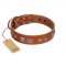 "Egyptian Gifts" Handmade FDT Artisan Tan Leather Newfoundland Collar with Chrome-plated Pyramids