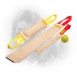 Jute Newfoundland Bite Training Set of 4 Dog Items