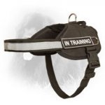 Professional Nylon Newfoundland Harness for Different Activities
