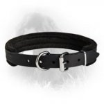Padded Leather Collar 25 mm for Newfoundlands