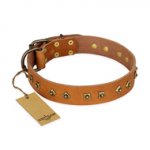 "Autumn Story" FDT Artisan Leather Newfoundland Collar with Old Bronze Look Studs