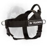Universal Nylon Newfoundland Harness with ID Patches