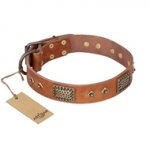 "Catchy Look" FDT Artisan Decorated Tan Leather Newfoundland Collar