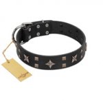 "Star Excitement" Modern FDT Artisan Black Leather Newfoundland Collar with Studs and Stars