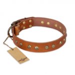 "Spring Flavor" FDT Artisan Adorned Leather Newfoundland Collar with Old Bronze-Plated Engraved Studs