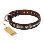 "Step and Sparkle" FDT Artisan Glamorous Studded Brown Leather Newfoundland Collar