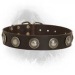 Newfoundland Leather Collar with Silver Conchos
