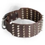 3 Inch Leather Newfoundland Collar with Spikes and Studs