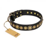 "Gold Mine" FDT Artisan Black Leather Newfoundland Collar with Amazing Bronze-Plated Round Studs