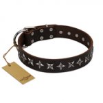 "Stars of Glory" FDT Artisan Brown Leather Newfoundland Collar for Comfortable Walking