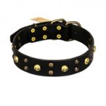 FDT Artisan 'Heavy Metal' Leather Newfoundland Collar with Skulls and Studs 1 1/2 inch (40 mm)