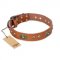 "Stunning Dress" FDT Artisan Tan Leather Newfoundland Collar with Old Bronze Look Plates and Studs