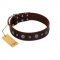 "Pure Sensation" Exclusive FDT Artisan Brown Leather Newfoundland Collar with Fancy Brooches and Studs