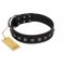 "Natural Beauty" Premium Quality FDT Artisan Black Designer Newfoundland Collar with Dotted Studs