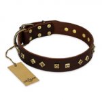 "Fashion Studs" FDT Artisan Decorated Leather Newfoundland Collar with Old Bronze-Plated Steel Hardware