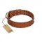 "Star Light" Stylish FDT Artisan Tan Leather Newfoundland Collar with Silver-Like Studs