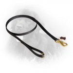 Multipurpose Nylon Newfoundland Leash for Daily Use