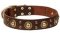 Leather Newfoundland Collar with Shining Brass Decorations