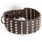 Wide Studded Leather Newfoundland Collar