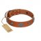 "Foxy Nature" FDT Artisan Tan Leather Newfoundland Collar with Chrome Plated Brooches