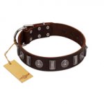 "Spiky Way" FDT Artisan Brown Leather Newfoundland Collar with Silver-Like Decorations