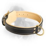 Newfoundland Leather Collar Nappa Padded