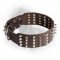 Leather Newfoundland Collar with 4 Rows of Spikes and Studs