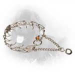 Stainless Steel Newfoundland Prong Collar with Swivel